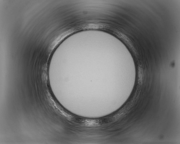 X0000114640794200912011047