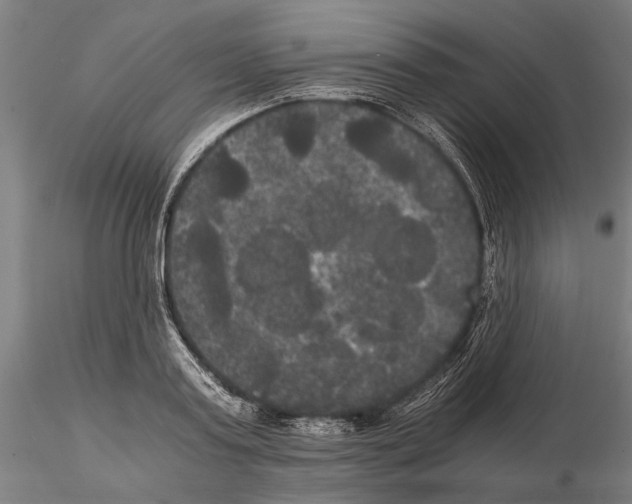 X0000114640795200912011047