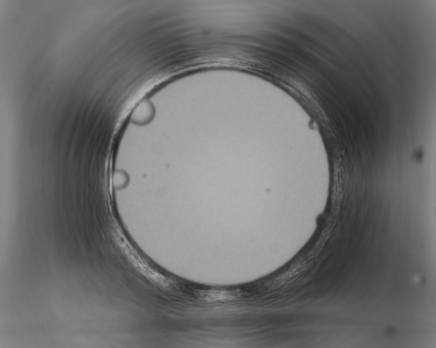 X0000114640796200912011047