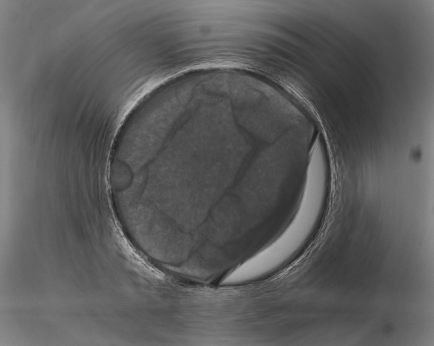 X0000114640797200912011047