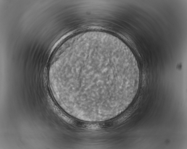 X0000114640798200912011047