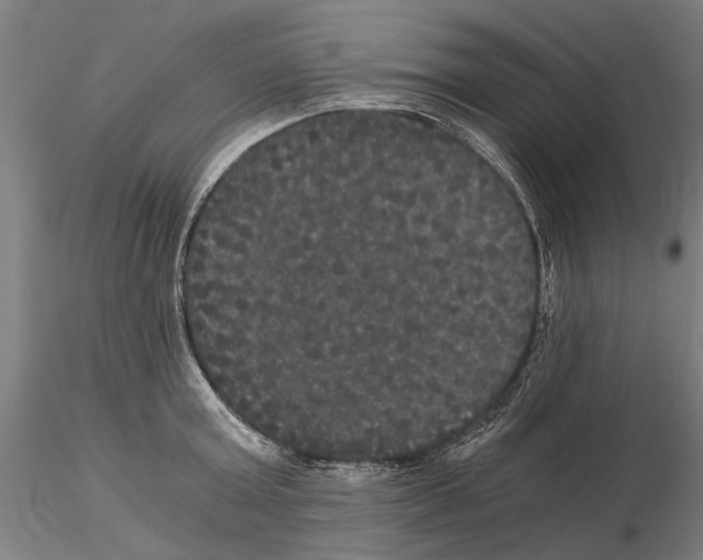 X0000114640803200912011047