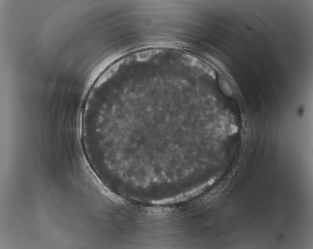 X0000114640804200912011047