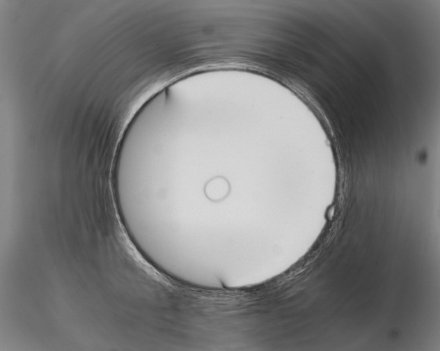 X0000114640805200912011047