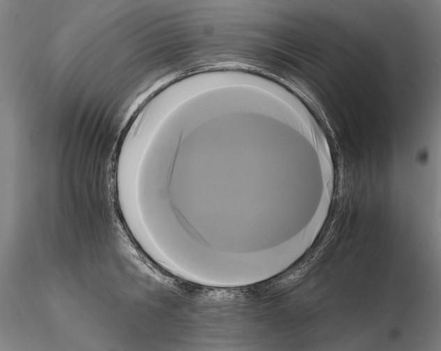 X0000114640806200912011047