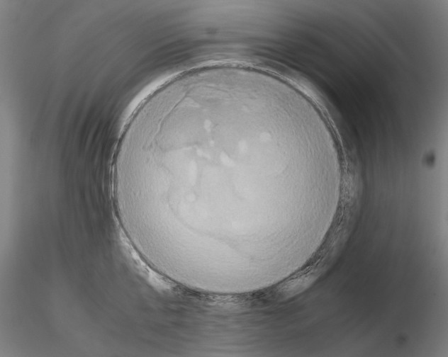 X0000114640807200912011047