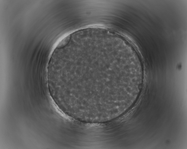 X0000114640808200912011047