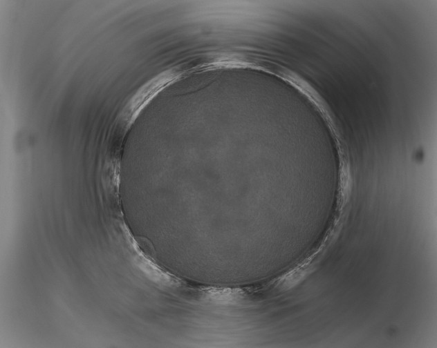 X0000114640809200912011047