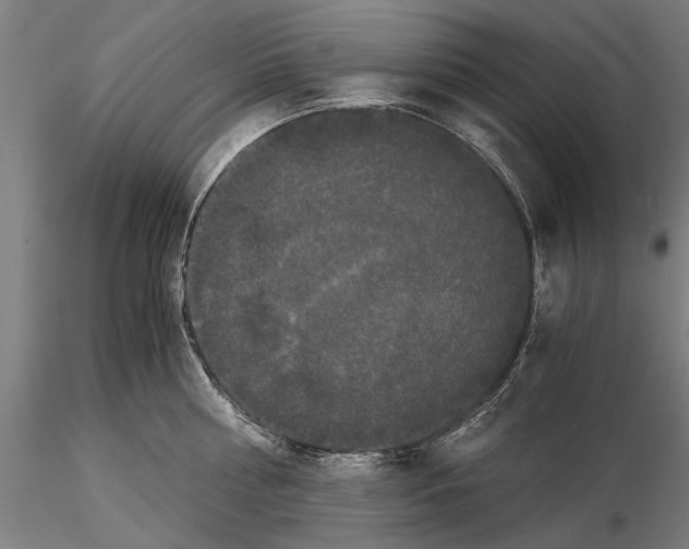 X0000114640810200912011047