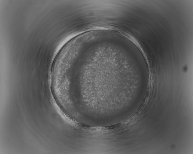 X0000114640811200912011047