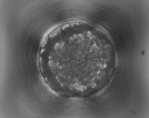 X0000114640812200912011047