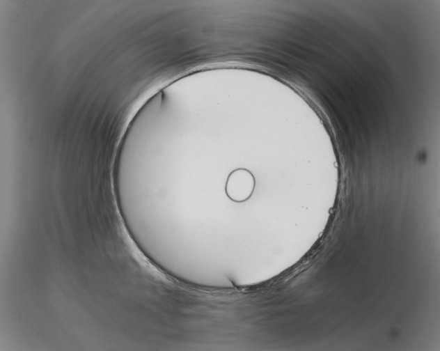 X0000114640813200912011047