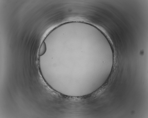 X0000114640815200912011047