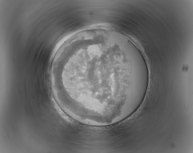 X0000114640816200912011047