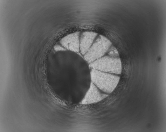 X0000114640817200912011046