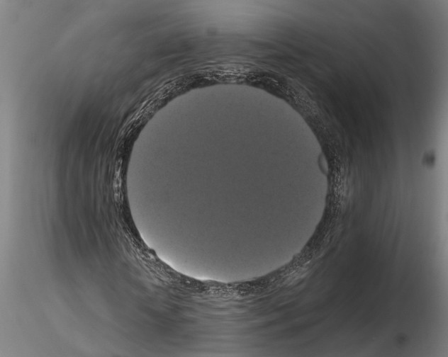 X0000114640818200912011046