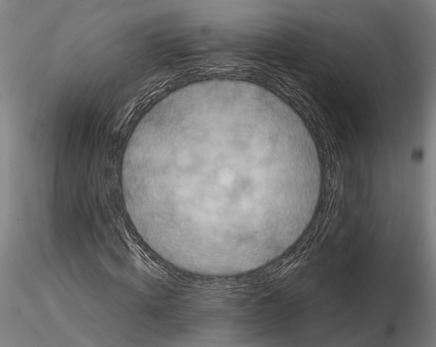 X0000114640820200912011046