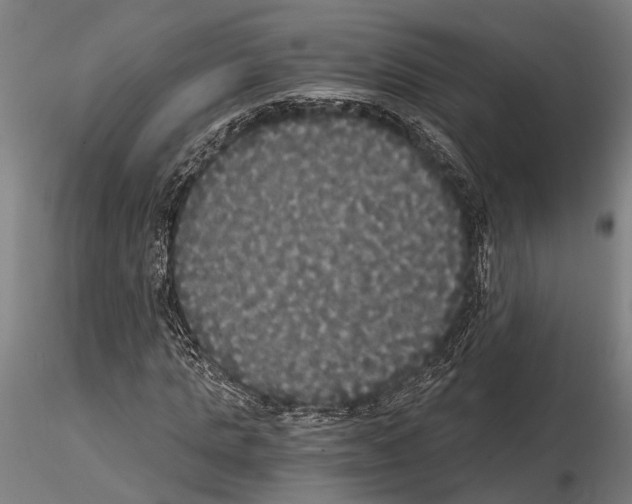 X0000114640821200912011046