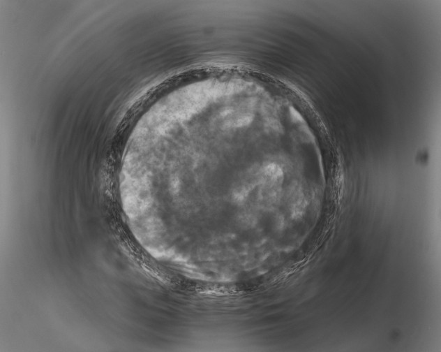 X0000114640823200912011046