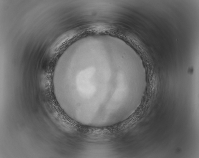 X0000114640824200912011046