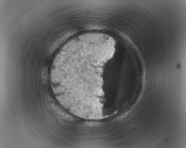 X0000114640825200912011046