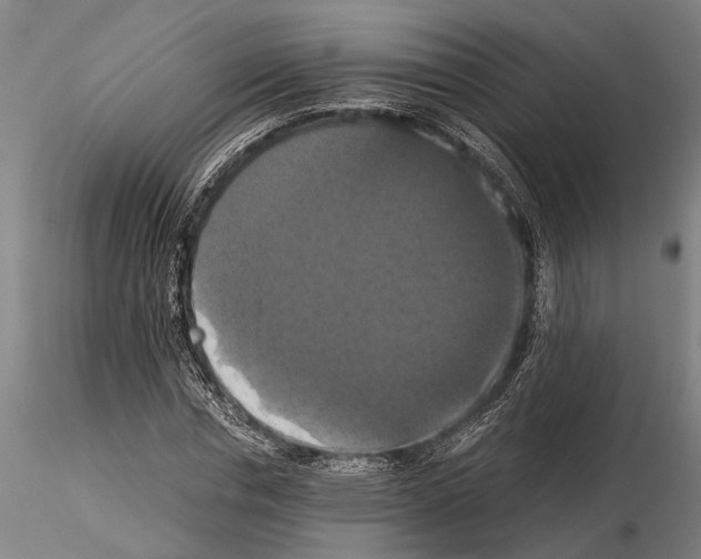 X0000114640826200912011046