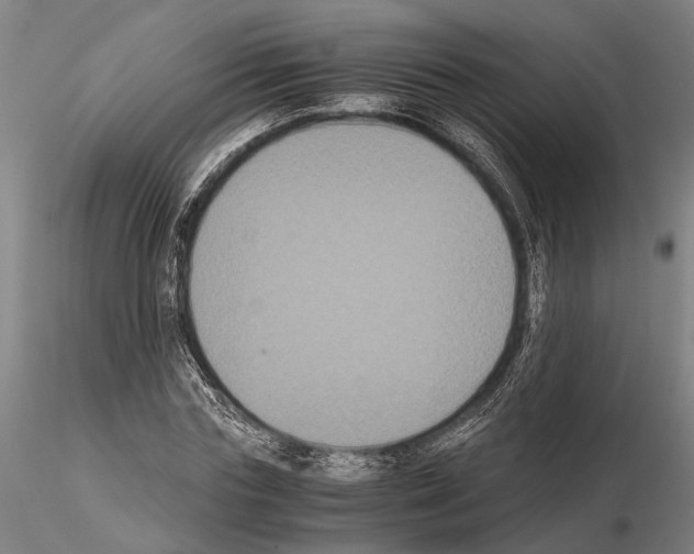 X0000114640827200912011046