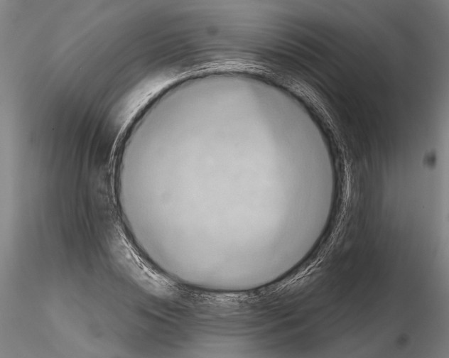 X0000114640828200912011046