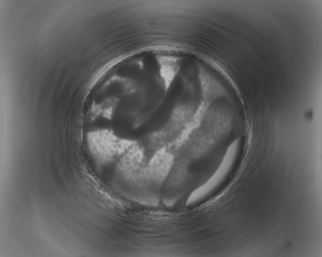 X0000114640829200912011046