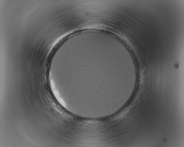 X0000114640830200912011046