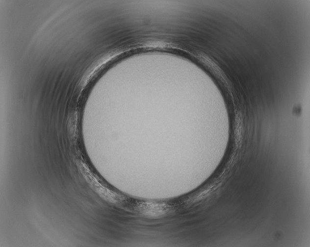 X0000114640831200912011047