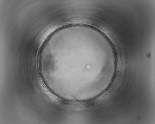 X0000114640832200912011047