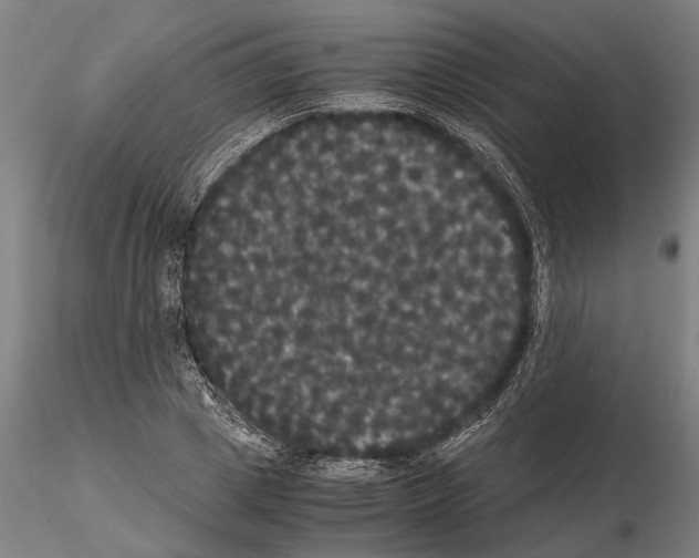 X0000114640833200912011047