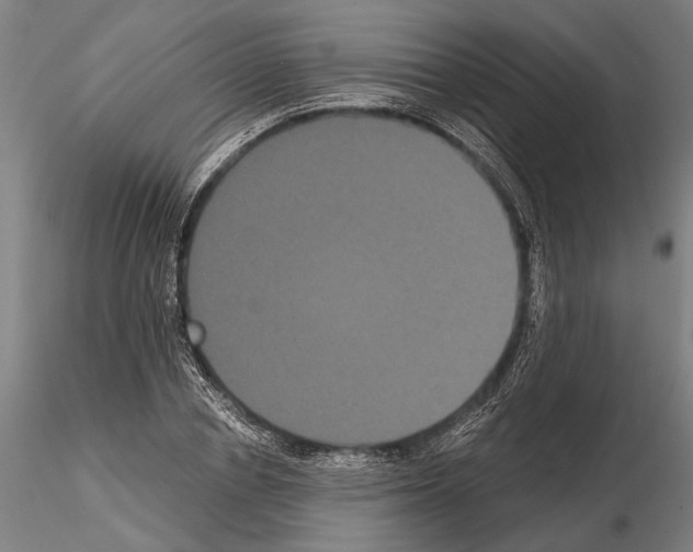 X0000114640834200912011047