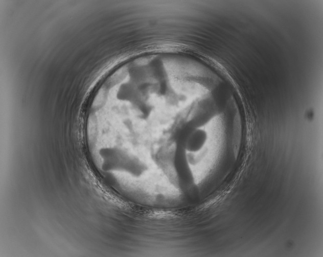 X0000114640835200912011047