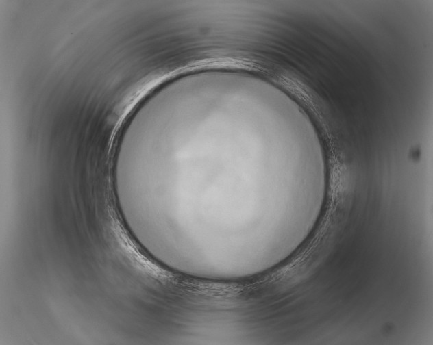 X0000114640836200912011047