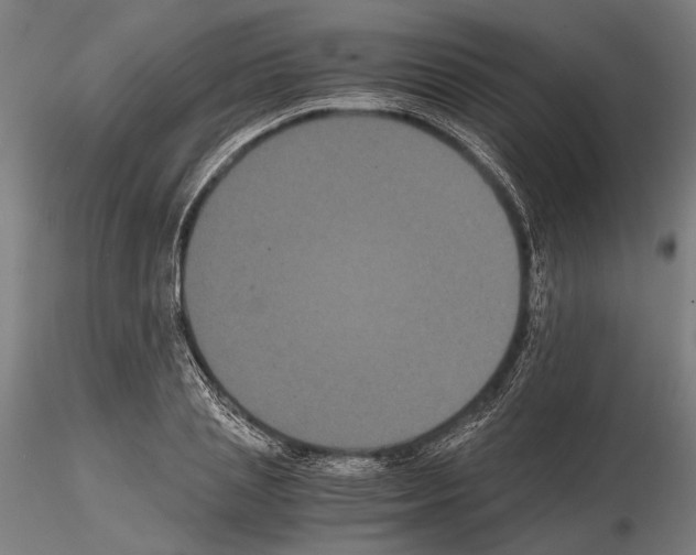 X0000114640837200912011047