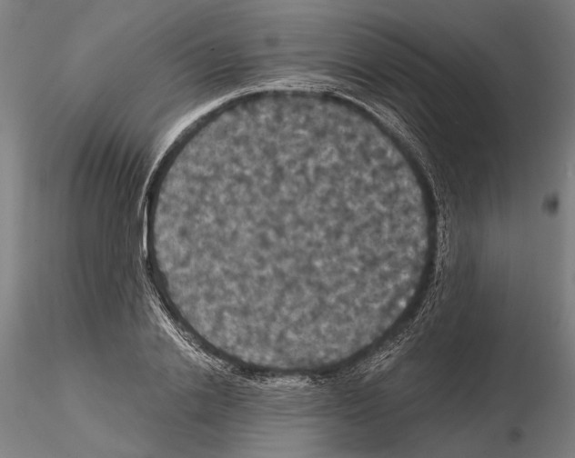 X0000114640838200912011047