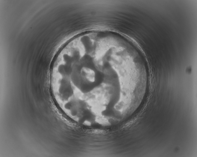 X0000114640839200912011047