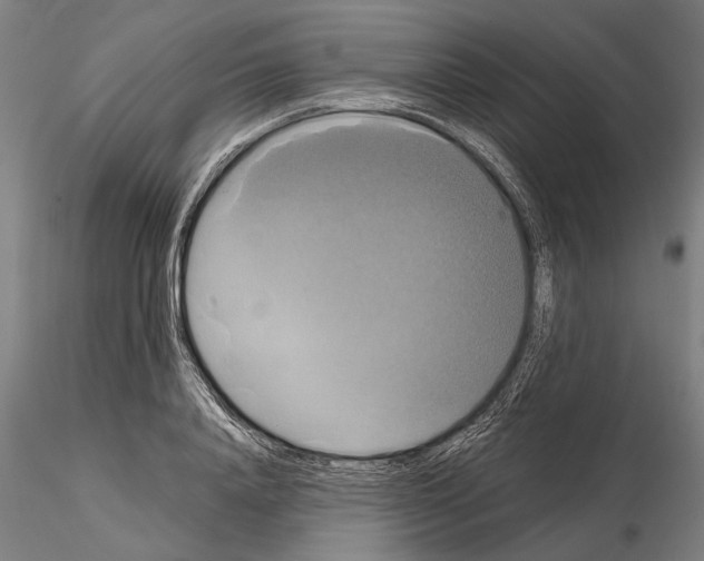 X0000114640840200912011047