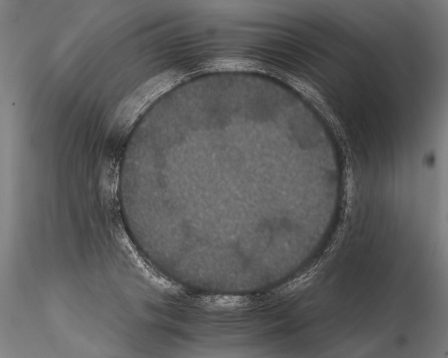 X0000114640841200912011047