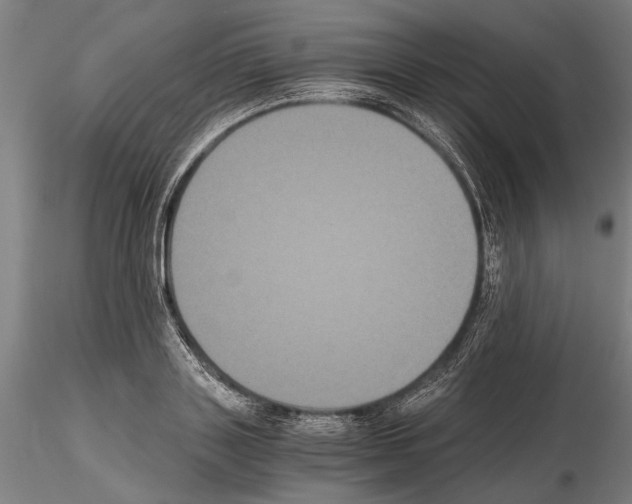 X0000114640843200912011047