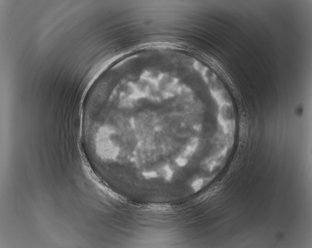 X0000114640844200912011047