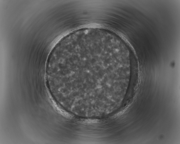 X0000114640845200912011047