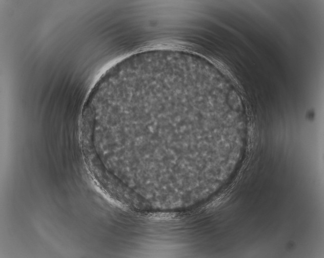 X0000114640846200912011047