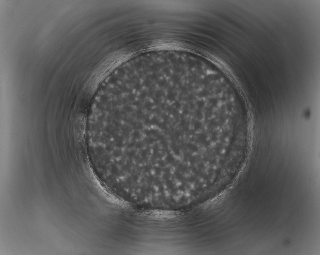 X0000114640849200912011047