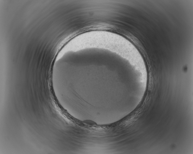 X0000114640850200912011047