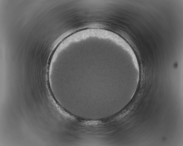 X0000114640853200912011047