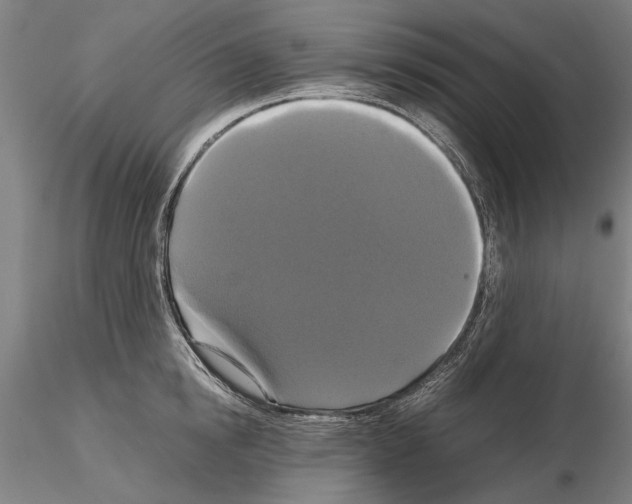 X0000114640854200912011047