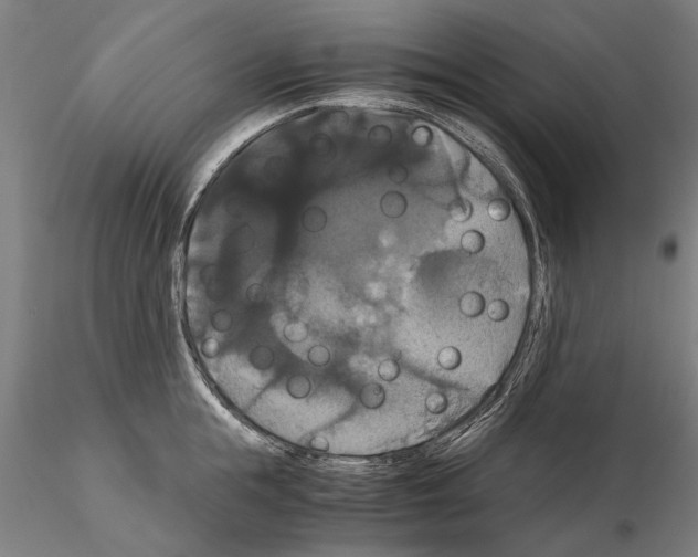 X0000114640855200912011047